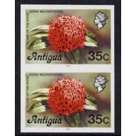 Antigua 1976  FLAMES OF THE WOOD 35c  imperf pair mnh