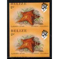 Belize 1984 CUSHION STAR IMPERF PAIR WITH SHIFT mnh