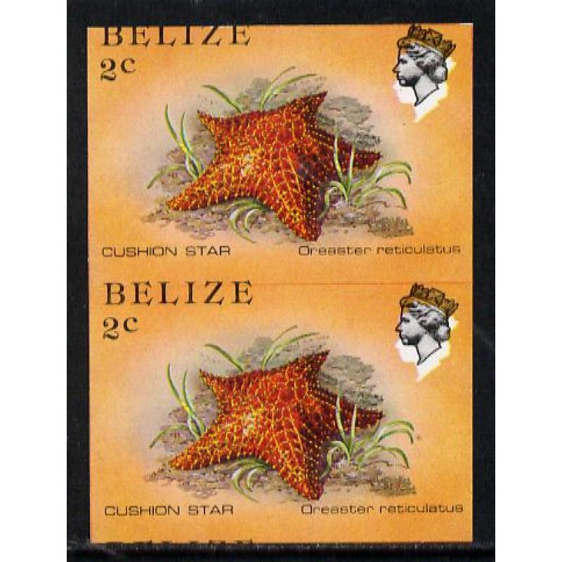 Belize 1984 CUSHION STAR IMPERF PAIR WITH SHIFT mnh