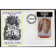 Eynhallow 1982  SHELLS  imperf deluxe sheet on first day cover