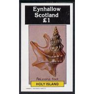 Eynhallow 1982 SHELLS  imperf souvenir sheet mnh