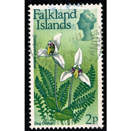 Falkland Islands. 1974 Flowers. Decimal issue. 2p Wmk upright. SG 294. Fine Used