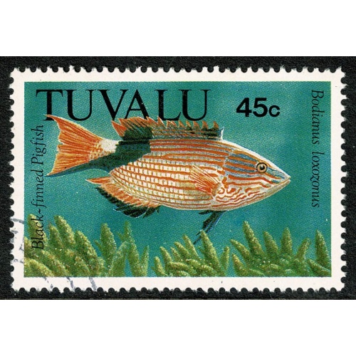 1992 Fish. 45c. Fine used single. SG 639