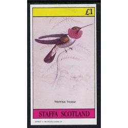 Staffa 1982 HUMMING BIRDS imperf souvenir sheet mnh